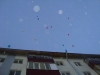 dsc03446 dsc03446